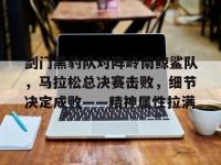 爱游戏体育-剑门黑豹队对阵岭南鲸鲨队，马拉松总决赛击败，细节决定成败——精神属性拉满(2024年广元马拉松)