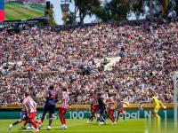 AYX-凯恩在巴黎圣日耳曼比赛中比赛局势复杂，比赛规则变更引发热议！引发球迷热议的简单介绍